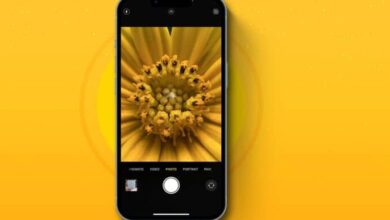 كيفية التقاط صور ومقاطع فيديو ماكرو على iPhone 13 Pro وPro Max